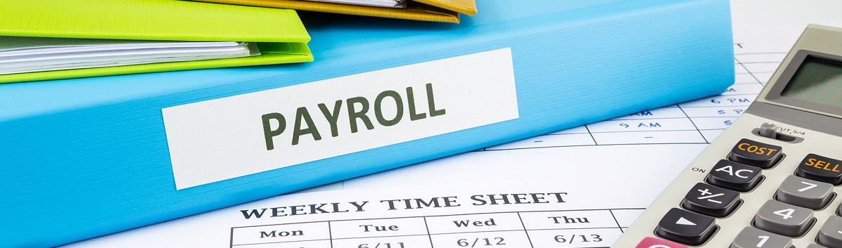 Small Business - Payroll Software